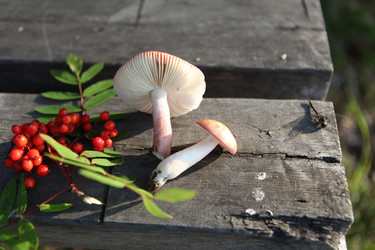 Similar image 262079