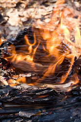 Similar image 262083