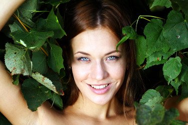 Similar image 262101