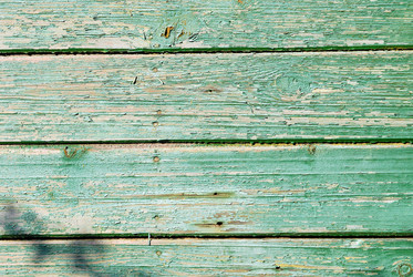 Similar image 262104