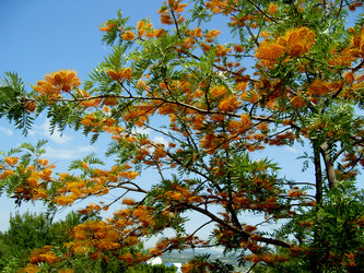 Similar image 262119