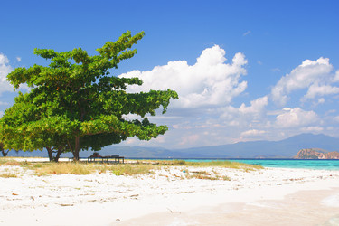 Similar image 262165