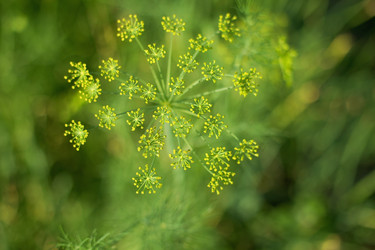 Similar image 262167