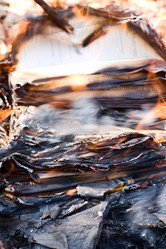 Similar image 262180