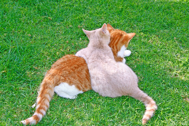 Similar image 262197