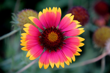 Similar image 262201