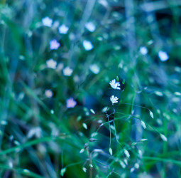 Similar image 262234