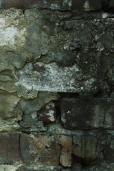 Similar image 262235