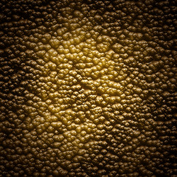 Similar image 262241