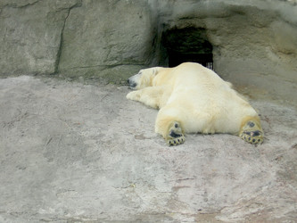 Similar image 262252