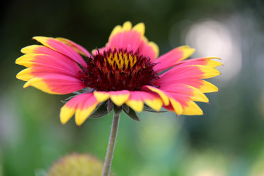 Similar image 262254