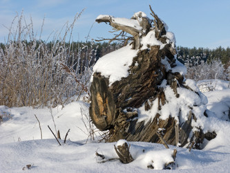 Similar image 262259