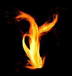 Similar image 262310