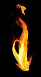 Similar image 262333