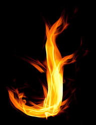 Similar image 262335