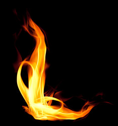 Similar image 262339