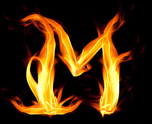 Similar image 262341