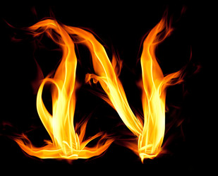 Similar image 262343