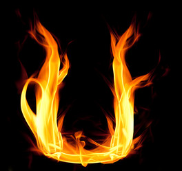 Similar image 262355