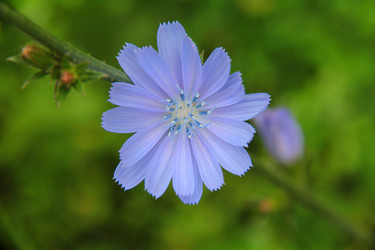 Similar image 262373