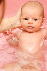 Similar image 262908