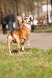 Similar image 262919