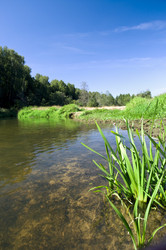 Similar image 262950