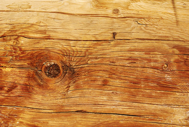 Similar image 262951