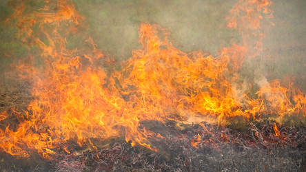 Similar image 262958