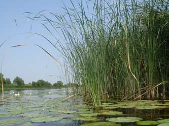 Similar image 263021