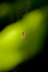 Similar image 263028