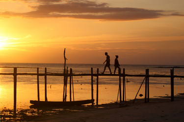 Similar image 263029