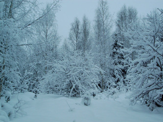 Similar image 263041