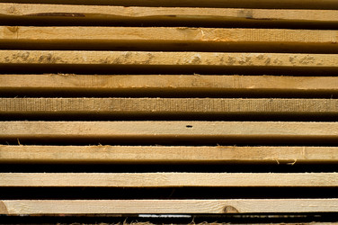 Similar image 263044