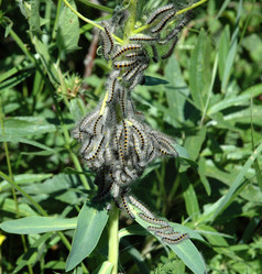 Similar image 263046