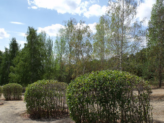 Similar image 263050