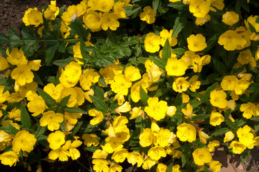 Similar image 263070