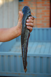 Similar image 263079