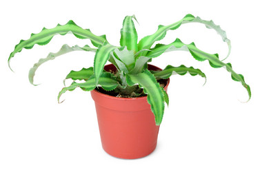 Similar image 263109