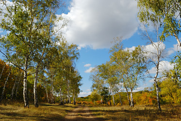 Similar image 263117