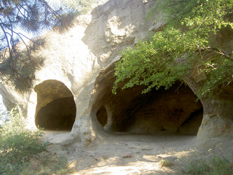 Similar image 263122