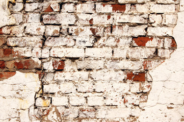 Similar image 263126