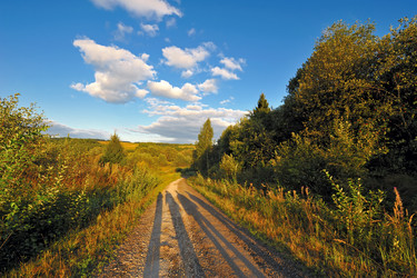 Similar image 263130