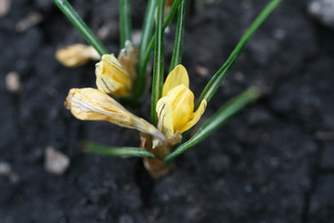 Similar image 263131