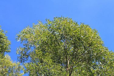 Similar image 263136