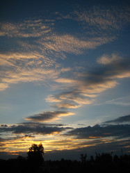 Similar image 263137