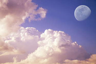 Similar image 263148