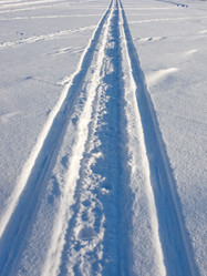 Similar image 263178