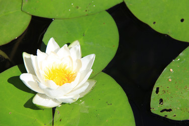 Similar image 263181