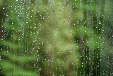 Similar image 263184